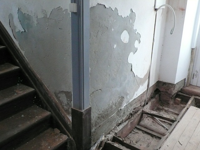 Damp interior Wall Paint wont adhere to the wall