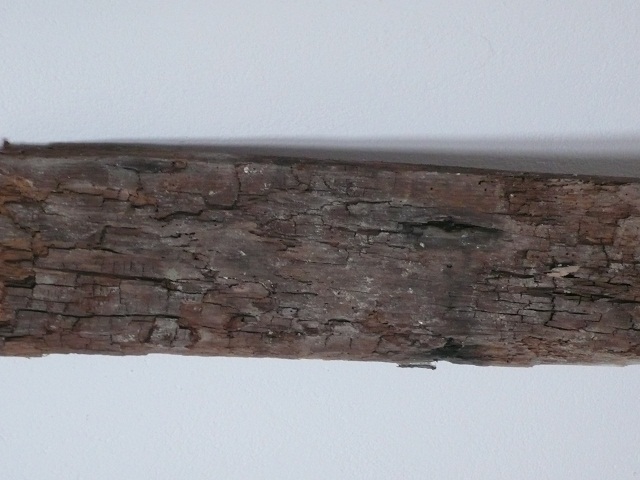 Dry Rot Not dried out this timber has to be removed