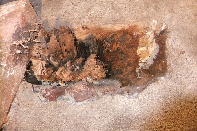 Wet rot damage timber beam