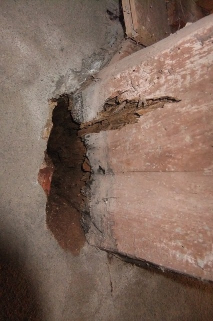 wooden beams embedded in walls sigmns of rot in wooden beams