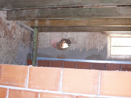 insulating walls