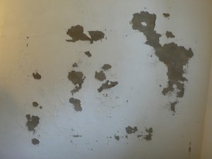 Very damp wall (1)