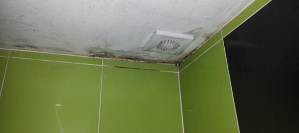 Black Marks On Your Bathroom Ceiling