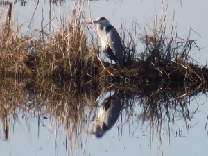 Many people dream of buying a property next to a lake or river in rural Portugal.