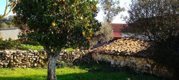 shade, gardenshade, dampfixpt, dining in the garden,castelo construction