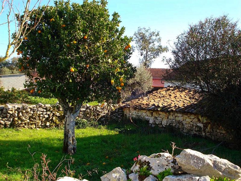 shade, gardenshade, dampfixpt, dining in the garden,castelo construction